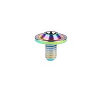 Yaruijia 1Pcs Titanium Bolt M6X10/15/20mm Torx Head Screw for Riding Brake Level Stem Bike Parts Fasteners (Rainbow, M6x10mm)