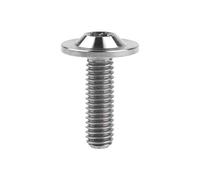 Yaruijia 1Pcs Titanium Bolt M6X10/15/20mm Torx Head Screw for Riding Brake Level Stem Bike Parts Fasteners (Titanium, M6x20mm)