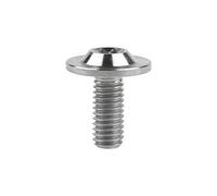 Yaruijia 1Pcs Titanium Bolt M6X10/15/20mm Torx Head Screw for Riding Brake Level Stem Bike Parts Fasteners (Titanium, M6x15mm)
