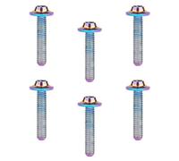 Yaruijia Titanium Bolt M5 M6x10 12 15 20 25 30 35mm T25 T30 Torx Head Screw for Motorcycle Accessories Pack of 6 (Rainbow, M5x25mm)