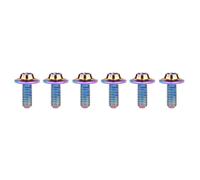Yaruijia Titanium Bolt M5 M6x10 12 15 20 25 30 35mm T25 T30 Torx Head Screw for Motorcycle Accessories Pack of 6 (Rainbow, M5x15mm)