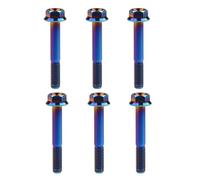 Yaruijia Titanium Bolt M6 M8 x 10 15 20 25 30 35 40 45 50 55mm External Hex Flange Head Screw Pack of 6 (Burn Blue, M8x55mm)