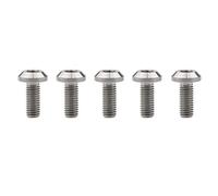 Yaruijia Titanium Bolt M6x12 15 20 25 30 35mm /M8x15 20 25 30 35 40mm Umbrella Head Allen Screw for Bicycle Motorcycle Disc Brake Parts Pack of 5 (M8x20mm, Normal Titanium)