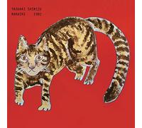 Yasuaki Shimizu - Kakashi