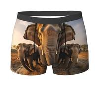 YaWea Asian Elephant print Men's Underwear Boxer Briefs 1 Pack Breathable and Soft with Fly Underwear for Men, Black, XL