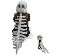 YBDADOEH Realistic Dinosaur Skeleton Costume Set, Plush Dino Fossil Jumpsuit with Skull Mask with Spine Extension for Parties，Funny birthday gifts for family and friends(Child 80cm)