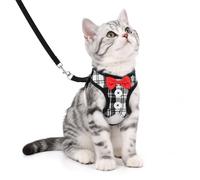 YBEATY Cat Harness and Leash Set Escape-Proof Kittens Harness Adjustable Mesh Breathable Vest for Outdoor Travel Walking Kitten Puppy Bunny Small Dogs, (L/8.81-17.64lb)