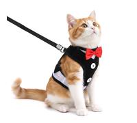 YBEATY Cat Harness Leash Set for Walking Soft Adjustable Cats Vest Harnesses Escape Proof Comfortable Breathable Mesh Kitten Anti-Escape Leash Chest Harness Easy to Wear for Outdoor Travel(M)