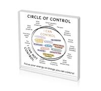 YBEATY Mental Health Things I Can Control Decor Therapy Office Acrylic Decor Acrylic Heart Psychology Art Decorations School Counselor Sign Therapist Office for Women Men Therapist Living Room Bedroom