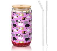 YBGHDAA Guinea Pigs and Cupcakes Printing 1 Pcs Drinking Glasses with Lids and Straw 16oz Glass Cups Ideal for Whiskey Beer Tea