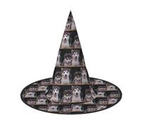 YBGHDAA Husky Dog Printing 2 Pack Halloween Hat Witch Hats For Parties Foldable Lightweight Role Playing Caps For Cosplay