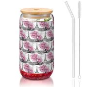 YBGHDAA Oil Painting Paris Eiffel Tower Printing 1 Pcs Drinking Glasses with Lids and Straw 16oz Glass Cups Ideal for Whiskey Beer Tea
