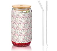 YBGHDAA Romantic Paris Eiffel Tower Bycicle Printing 1 Pcs Drinking Glasses with Lids and Straw 16oz Glass Cups Ideal for Whiskey Beer Tea