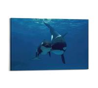 YBHF Killer Whale Orca Marine Life Animals Poster Wall Art Print Retro Aesthetic Room Decor Office Decorations 12x18inch(30x45cm) Frame-style