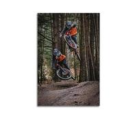 YBHF Sport Mountain Bike Downhill Poster Wall Art Print Retro Aesthetic Room Decor Office Decorations 20x30inch(50x75cm) Unframe-style