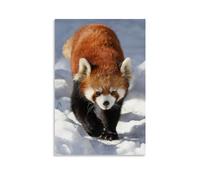 YBJDLO Animal Poster Cute Red Panda in The Snow Room Living Room Decor Modern Aesthetic Wall Art Gift For Friend Bed Unframe-style 08x12inch(20x30cm)