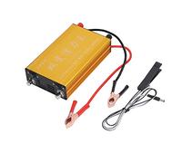 Ycauty Double Variable Battery Boost Inverter with High Power Output for 12V Batteries, Aluminum Alloy Cover for Stable Performance, Easy Installation for Novices, 1 X Hand Press Switch Included