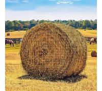 YCBTREE 6x6 ft Round Bale Hay Net - Large Slow Feeder for Horses & Livestock, Knotless Design Slow Feeder Hay Nets, Fits 4x4ft 5x5ft 6x6ft Round & 3x3x8ft 4x4x8ft 5x5x8ft Square Bales (Black-Round)
