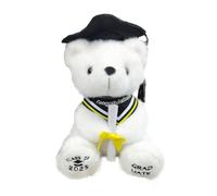 Ycfish Graduation Bear 2025, Graduation Plush Gifts for Her Class of 2025, Bear Stuffed Animal with Cap and Gown High School College Graduation Gifts for Boys & Girls
