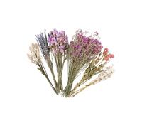 YCHUCH Safe Dried Flower Habitat Decor - Natural Hamster Cage Bedding With Colorful Nesting Florals Dried Flower Bouquets For Hamster Habitat