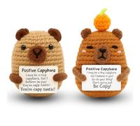 YciVhh 2PCS Positive Crochet Animals, Capybara Gifts, Positive Capybara with Positive Affirmation Cards, for Friends, Colleagues, Boys and Girls, Capybara lovers, Birthday, Party Gifts