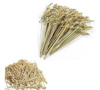 Ycneatt 100Pcs Natural Bamboo Cocktail Sticks - 12cm/4.7" Eco-Friendly Knotted Skewers for Appetizers, Cocktails, BBQ, Party Decor & Food Presentation
