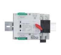 YCQ4-100R 2P/4P Dual Power Automatic Transfer Switch 63A/100A AC230V Switch Power Switching Device(2P,63A)