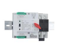 YCQ4-100R 2P/4P Guide Rail ATS Dual Power Automatic Transfer Switch 63A/100A AC230V Switch Power Switching Device(2P,60A)
