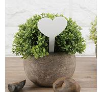 Yctze 100PCS Heart Shape Plant Labels - PVC Garden Labels for Plants, Seedling Trays & Flower Pots - Colorful & Reusable Identification Tags (White)