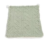 Yctze Double Layer Soft Pet Blanket for Dogs and Cats, Warm Plush Plaid Throw Blanket for Indoor Outdoor Use, Cute Furry Balls, Green L (L)