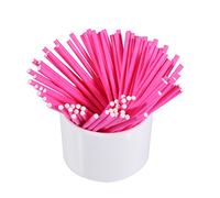 Yctze Lollipop Sticks, 100 Pcs Colorful Lollipop Sticks 10cm Pinkcake Pop Sticks Cake Pop Sticks for Candy Chocolate