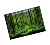 Yctze PVC Fish Tank Decoration Poster, Beautiful Underwater Forest Background for Aquarium Decor, Self-Adhesive, 1 Unit (91 * 50cm)