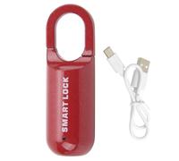 Yctze USB Rechargeable Anti-Theft Security Fingerprint Padlock Mini Smart Padlock Keyless Biometric High Security Lock for Gym Locker, Shed Locker, Storage Units, Luggages, Suitcases (Red)