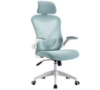 YCVAWEOD Office Chair Lumbar Support - High Swivel With Adjustable Headrest And Mesh Back - Breathable Computer With Thick Seat Cushion LWX