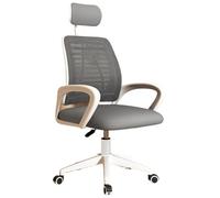 YCVAWEOD Professional Executive Office Home Chair With Fixed Armrest, Soft Foam Seat Cushion And Lumbar Support Mesh High Back Desk Chair Computer Desk Chair(Gris) LWX