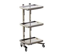 YCVAWEOD Professional Stainless Steel Hairdressing Cart with Folding Table Trolley for Salons - Mobile Design for Convenient Styling and Storage LWX