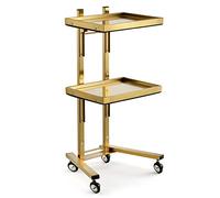 YCVAWEOD Professional Stainless Steel Hairdressing Cart with Folding Table Trolley for Salons - Mobile Design for Convenient Styling and Storage LWX