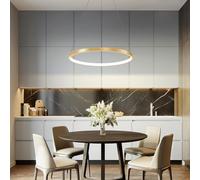 YCVAWEOD Round Dining Table Pendant Lamp Modern LED Pendant Lamp Living Room Chandelier Dimmable with Remote Control Pendant Lamp for Office Living Room Kitchens Lights (Gold, L60cm/38W) LWX