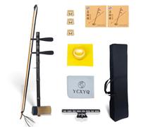 YCXYQ Erhuang - Zizhu Jinghu Handmade Professional Jingju Erhu Purple Bamboo Peking Opera Violin color wooden Axis Jinghu Suitable for Beginners Adults
