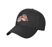 YCYLYLYC Baseball Cap Men Women Washed Cotton Unisex Golf Trucker Running Zebra Finch Baseball Cap, Sun Hat, Black Beach Bag, Hats for Women and Men Outdoor Sport Caps Hat