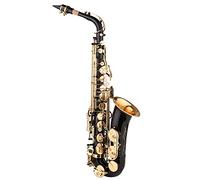 YDEXF Saxophone, Black Paint E-flat Sax for Beginner Student Intermediate Player, Brass Eb Alto Saxophone with Mouthpiece Carrying Case Cleaning Cloth Brush Sax Straps