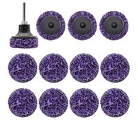 YDHfdc Grinding Discs 12 Pcs 2 inch 50mm Strip Grinder Wheel Poly Paint Removal Disc Rust Removal Grinding Disc with 1/4 inch Holder for Angle Grinder (Purple)