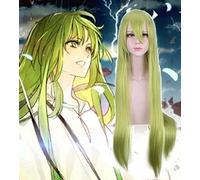 ydound Anime Coer Wig. Anime Fate/Grand Order Cosplay Perücken ENKIDU Cosplay 10 0cm Green Perücken Halloween Carnival Party Cosplay Perücken