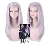 ydound Anime Coser wig Anime Wig Leone Abbacchio JoJo' s Bizarre Adventure Cosplay Comic- Con Halloween Party Carnival Adult Men and Women Anime Fans Gift(Silver Purple Long Hair Wig)