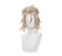 ydound Anime Coser wig Game Genshin Impact Wig,Anime Cosplay Albedo Wig, with Free Wig Cap, for Halloween, Party, Carnival, Nightlife, Concerts, Weddings