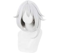 ydound Anime Coser wig Genshin Impact Wig Cosplay Wigs Xiao Wigs Blue Gradient Dharma Protector Yecha Synthetic Hair Halloween Christmas Party+ Free Wig Cap(Xiao) ( Pattern : NPC PM )