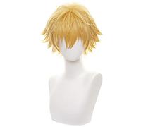 ydound Anime Coser wig Makima Wig, Chainsaw Man Makima Cosplay Wig with Wig Cap, Long Ponytail Red Anime Cosplay Wig ( Color : Denji )