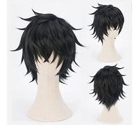 ydound Anime Coser wig The Rising Of The Shield Hero Tate No Yuusha No Nariagari Raphtalia Naofumi Iwatani Filo Wig Hair Cosplay Costume+ Free Wig Cap Naofumi Iwatani (Color : Naofumi Iwatani)