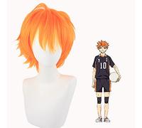 ydound Anime Coser wig Unisex Haikyuu! Hinata Shoyo Women Mens Male Short Fluffy Straight Orange Hair Wigs Anime Cosplay Party Dress Costume Synthetic Wig