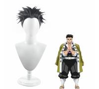 ydound Anime Cosplay Wig, Demon Slayer Wig, Black Grey Fluffy Short Hair Wig for Himejima Gyoumei Role Play Wigs With Wig Cap, for Party Daily Halloween